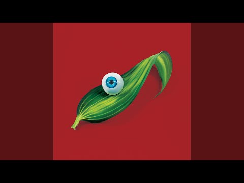 Burning Beaches (Budgie Remix)