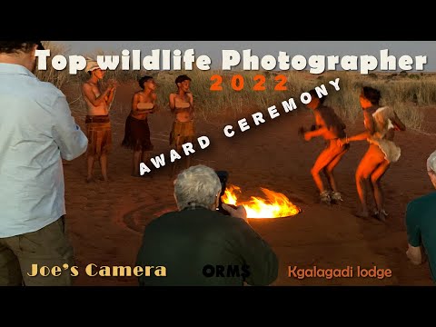 Top wildlife photographer 2022 Kgalagadi photography