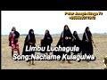 Download Lagu Limbu Luchagula - Nachame Kulagulwa 2021 Mp3 Free