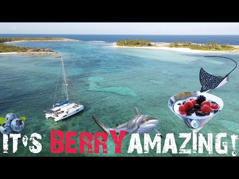 142: WHOA! WONDERFUL SURPRISES in the BERRY ISLANDS; High Cay, Bahamas