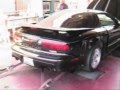 Death of a Trans Am Part 1