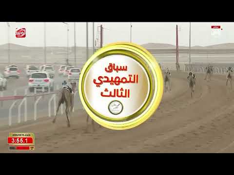 ش 1 (دلما) لـ محمد سعيد بن علي المنصوري 6:05:27 ، مهرجان العين 2026/09/15 إيذاع الروضة