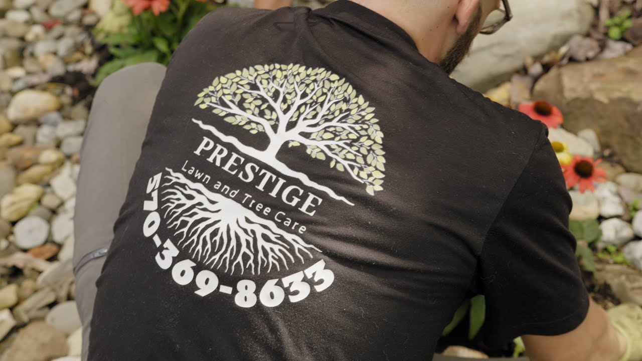 Prestige Lawn & Tree Care