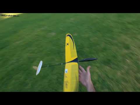 🐦4k Soaring at the Park with the Feather DLG @48 grams AUW🌞