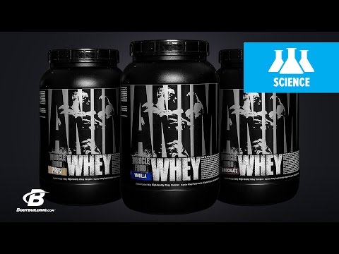 Universal Nutrition Animal Whey/ Science-Based Overview