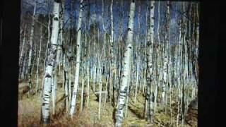 Spending the Day in the Shirt That You Wore