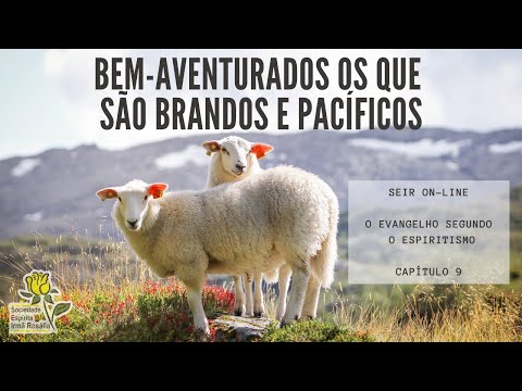 Palestra de quarta - Bem-aventurados os que são brandos e pacíficos - Nilo Moroni