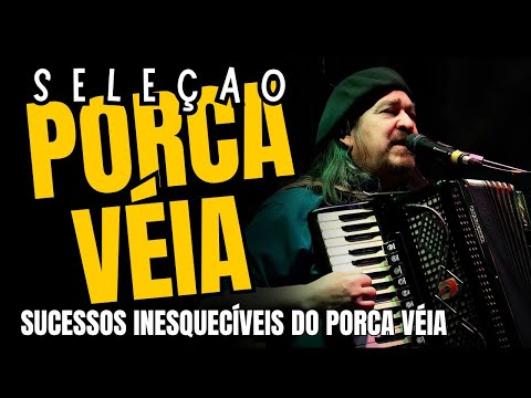 PORCA VEIA  -  SELEÇÃO SUCESSOS INESQUECÍVEIS VOL 1
