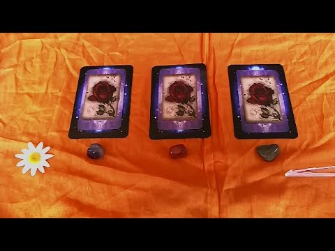 Engel-Wochenorakel vom 26.01.-01.02.2015 - Conny Koppers