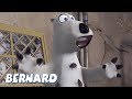 Bernard Bear | The Fumigator AND MORE | 30 min Compilation | Cartoons for Children