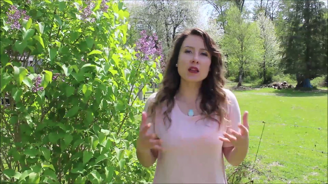 How to Learn From 27+ Experienced Homesteaders for FREE