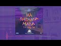 Mah Shehaya Haya - מה שהיה היה | Moshe Storch - משה שטארך | DJ Farbreng