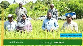 Waziri wa Kilimo Akoshwa na Mpunga Mlemele Wengine Waige