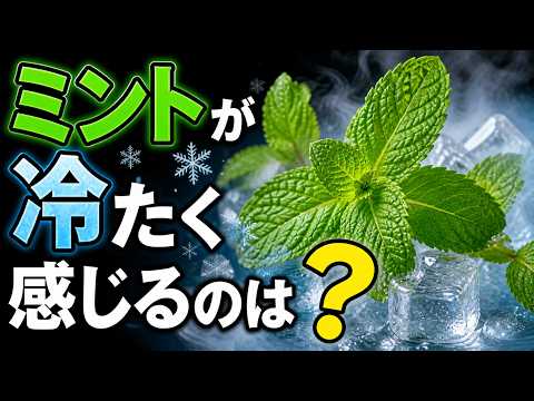 ミントはなぜ冷たく感じるの？口の中で起きる不思議な勘違い