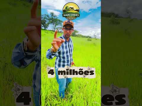 🚨 OPORTUNIDADE IMPERDÍVEL EM SALINAS – MG! 🚨#fazendaavenda