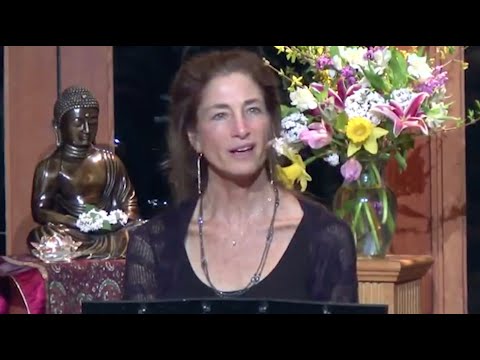 Tara Talks: The Path of “Beginner’s Mind”