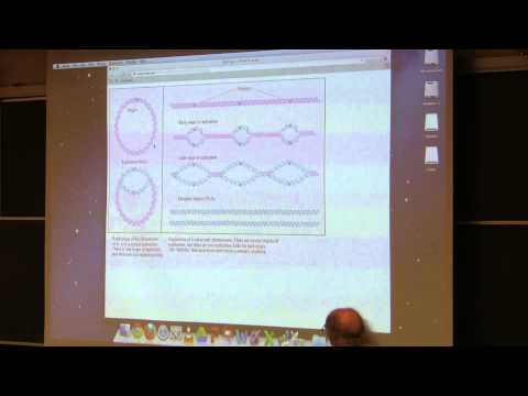 Kevin Ahern's BB 350 (Nucleic Acids/DNA Replication) 2014 - #15