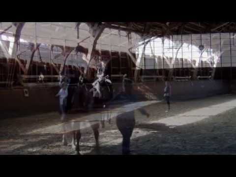 Auf dem Rücken der Pferde