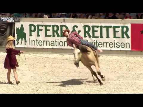 Mustang Makeover 2018 - Sina Lippe Jungpferdechallenge