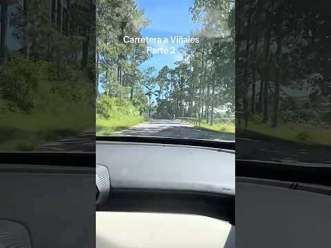 Viñales, Pinar del Río Cuba #campo #naturaleza #youtubeshorts #fypage #cuba