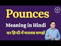 Pounces meaning in Hindi | Pounces ka matlab kya hota hai | English vocabulary words