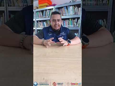 KOHA, Puentes Digitales