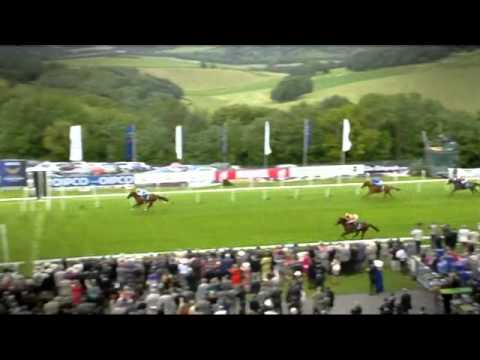 2011 Was All About One Horse: Frankel