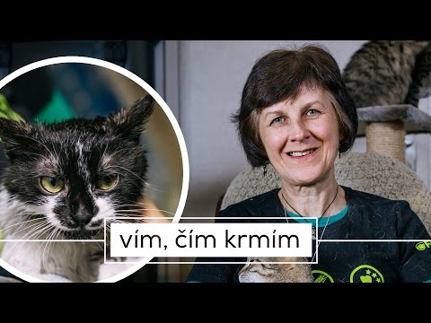 KOČIČÍ DŮM - Dvě stě opuštěných kočičích očí v příběhu Jarmily Tauberové