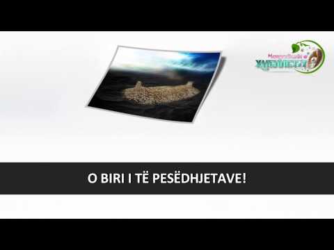 ~ Ju do të vdisni! - Shejh Halid el Rashidi ~