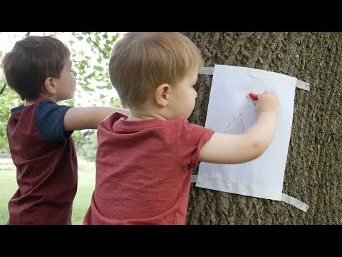 Tree Bark Rubbing - Outdoor Activities #1
