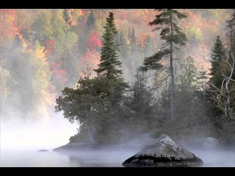 Moby - Natural Blues (Leo Remix)