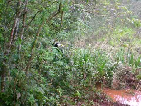 Equipe Cross Cafelândia - Jordano - Rodrigo - T01 - 05-09-09