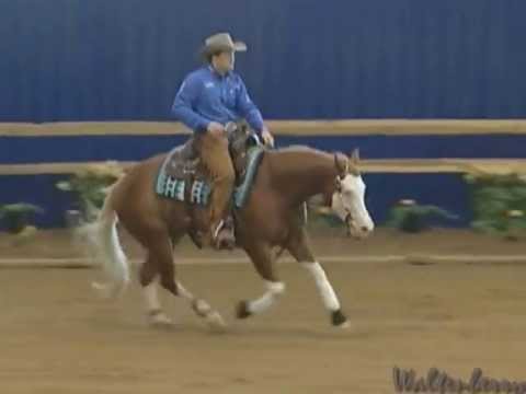 AMERICASNEXTGUNMODEL - NRBC 2013 Finals