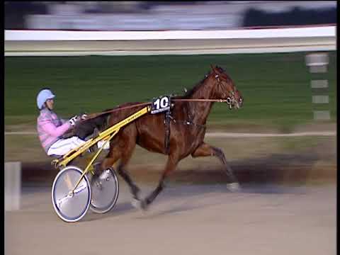 Trotto 09/12/2018 - 5ª corsa - G.P. MIPAAFT Allevamento