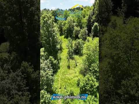 Teren intravilan de vanzare, Brebu Pietriceaua Prahova — Video