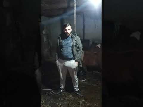 caii lui mircea din salsig