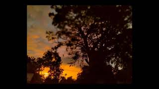 Download lagu Story WA Senja //Runtuh mp3