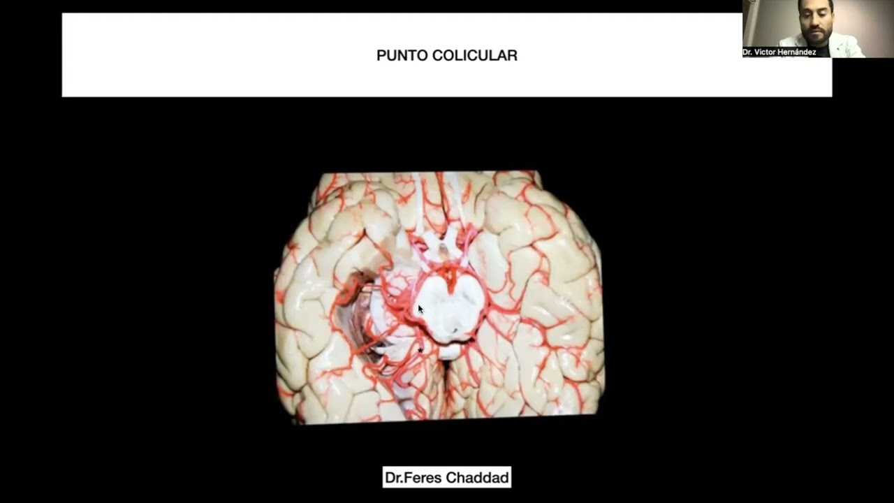 Victor Hernandez Alvarez-8