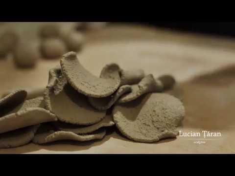 Lucian Țăran I Contemporary Ceramics from Văcărești Nature Park