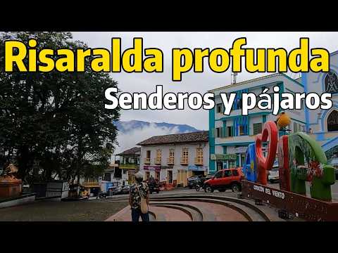 Risaralda profunda: Senderos y pájaros.