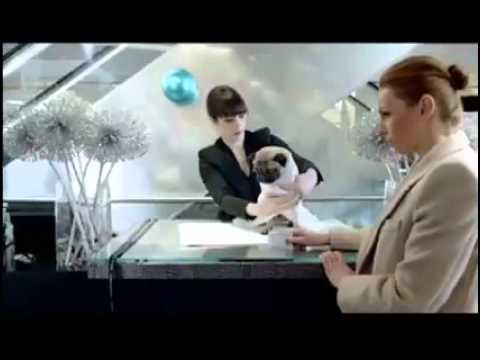 Harvey Nichols - Not Just for Christmas - very funny ads