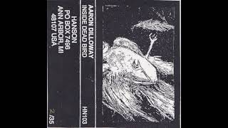 aaron dilloway - inside dead bird