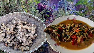 Download lagu Sudah waktunya panen jahe dn masak ikan bumbu jahe fresh mp3 Download lagu Sudah waktunya panen jahe dn masak ikan bumbu jahe fresh mp3