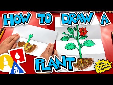 How To Draw A Plant With Folding Surprise