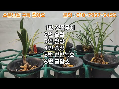 유튜브 썸네일