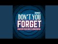 Don T You Forget Reprise