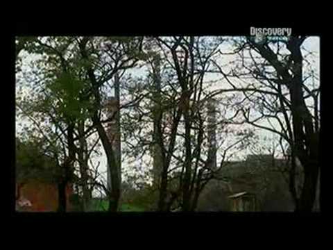 Aleksander Gudzowaty "Najbogatsi Ludzie Świata"