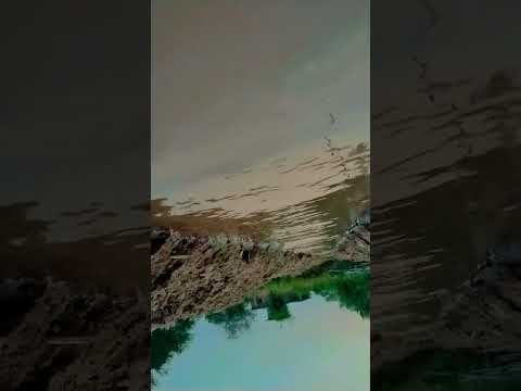 Dukh Mein sumiran Sab Kare Sukh mein kare Na Koi #aryansinghrathore #sumbultouqeer #arylie