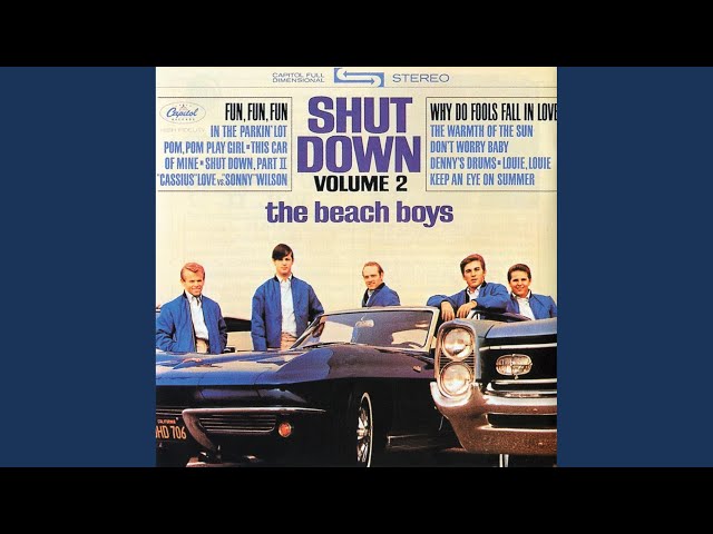 The Beach Boys - Fun, Fun, Fun (DIY) (Remix Stems)