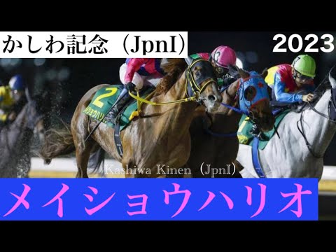 メイショウハリオが追い比べを制しダートGI・2勝目を挙げる【かしわ記念2023】/ Meisho Hario【Kashiwa Kinen 2023】